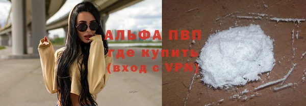стаф Богородицк