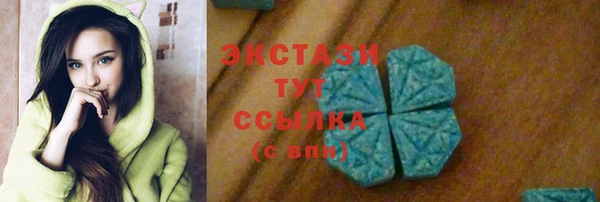 стаф Богородицк